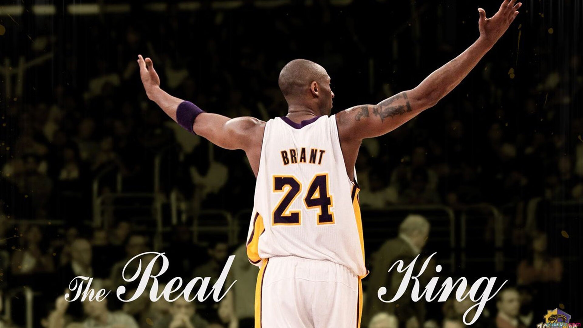 海贼王大神乌索普